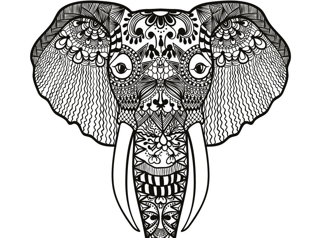 malvorlage elefant mandala  coloring and malvorlagan